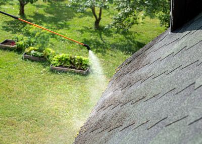 Roof Cleaning Process