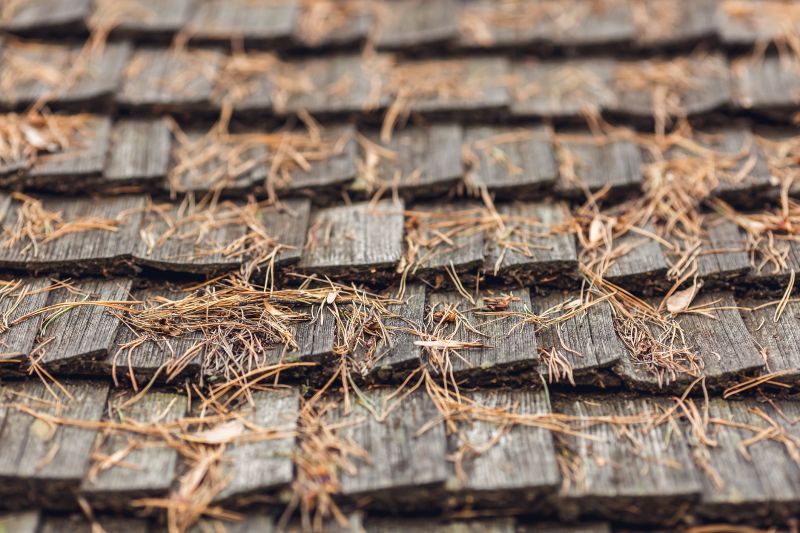 Roof Pine Needle Removal