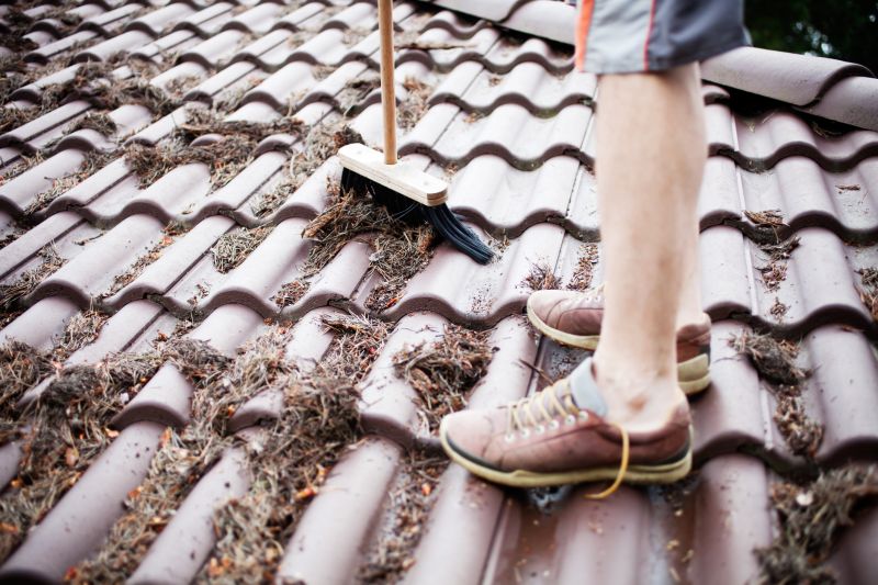 Tools for Pine Needle Removal