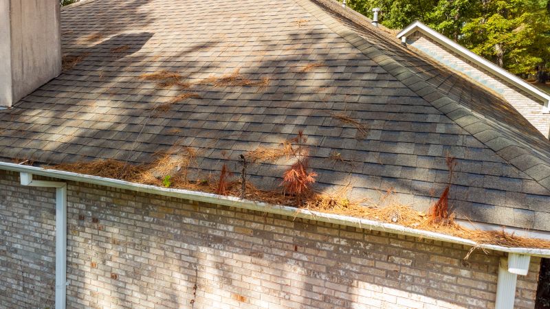 Completed Roof After Pine Needle Removal