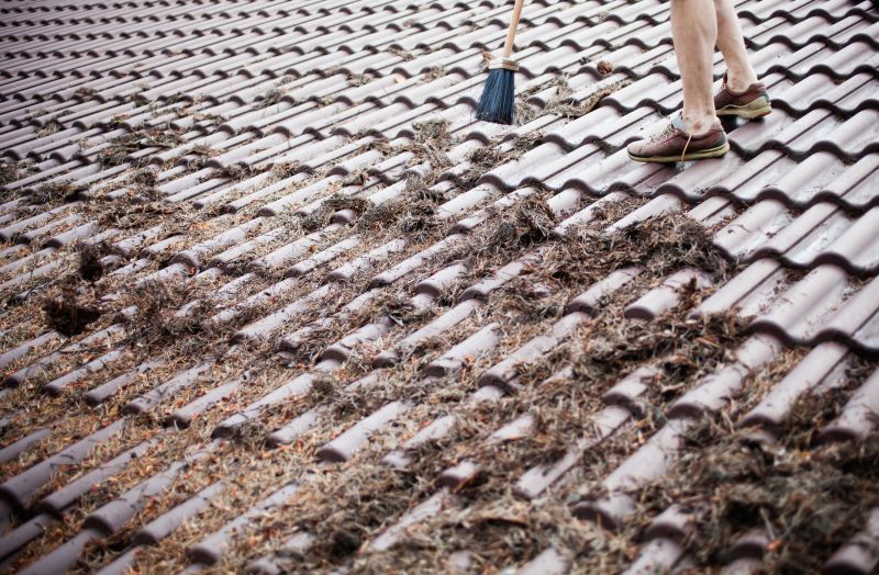 Specialized Roof Cleaning Services